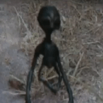 Real Alien Caught on Camera
